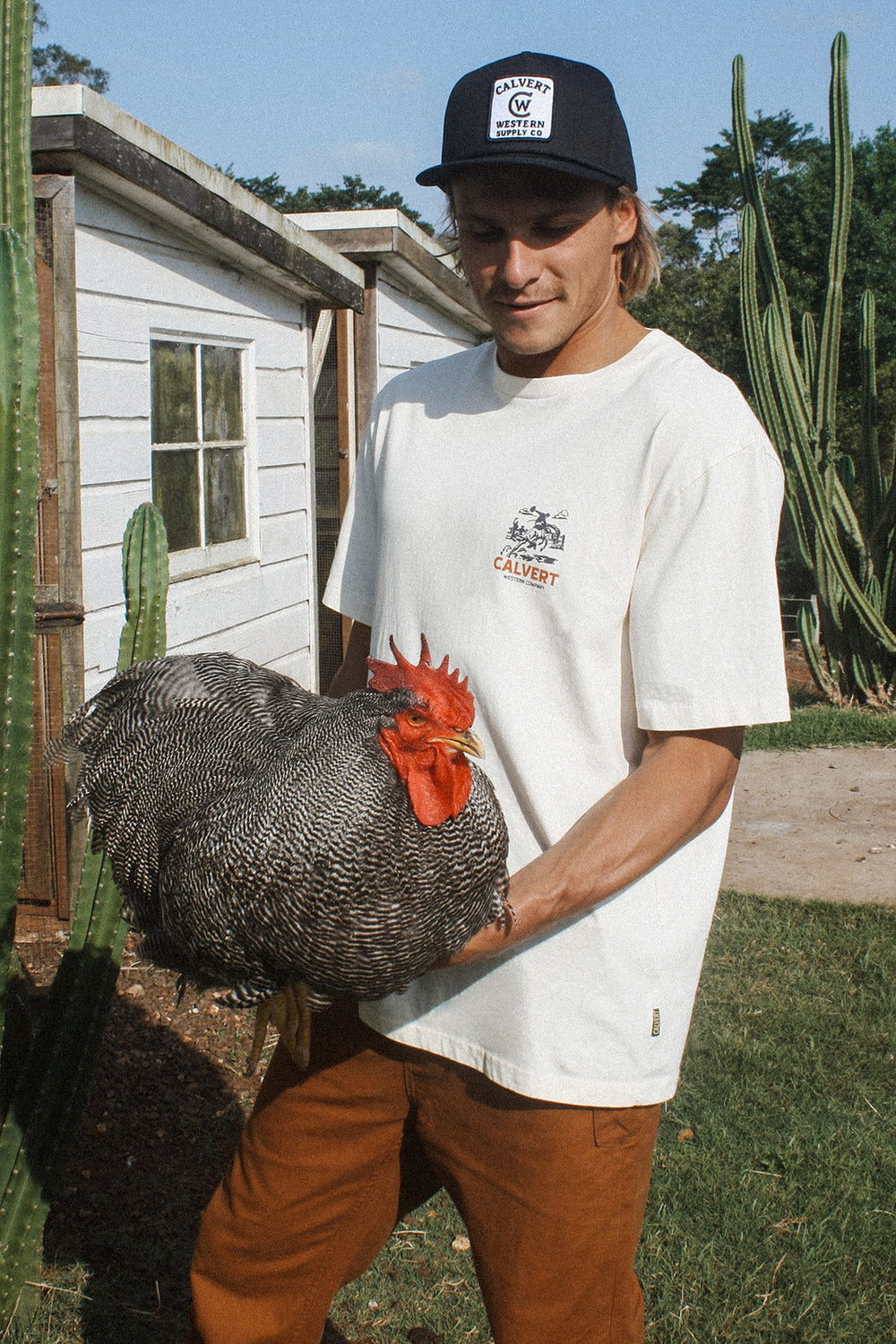 Fence Sitter Classic Fit Tee - Cream