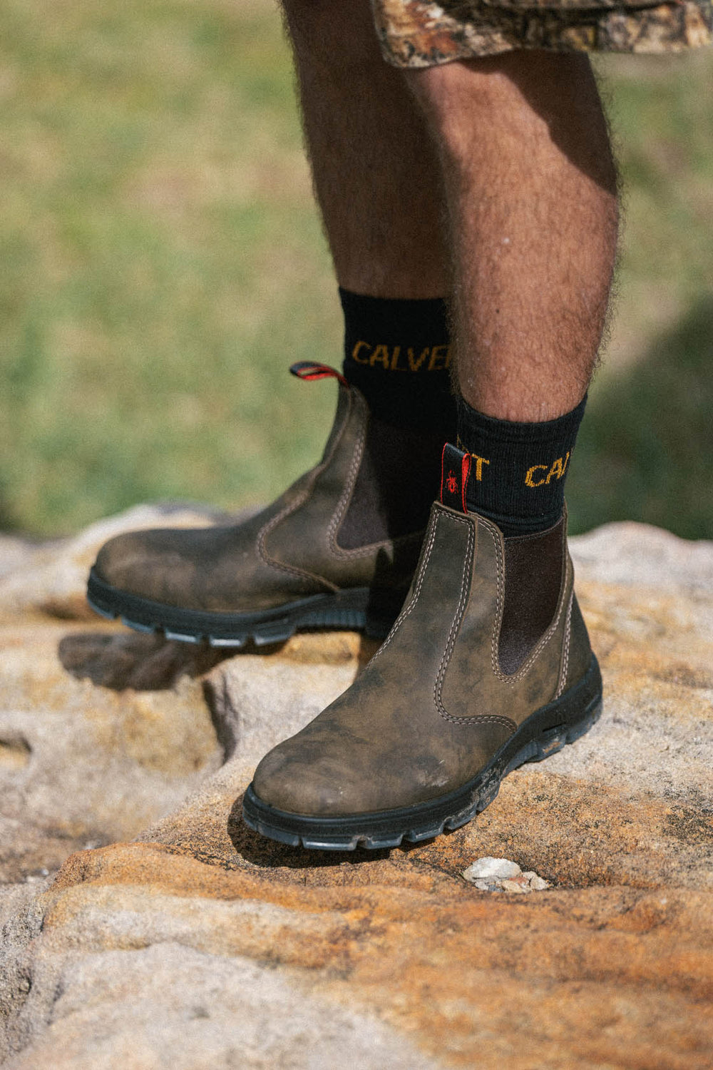 3 Pack Calvert Classic Gym Socks